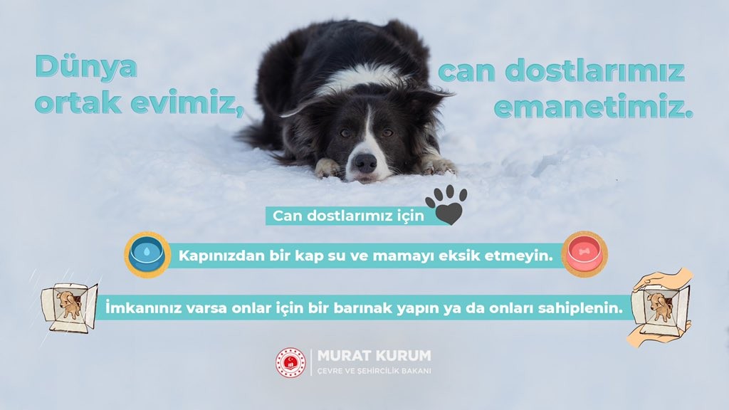Bakan Kurum'dan 'Can dostlarımız için' paylaşımı