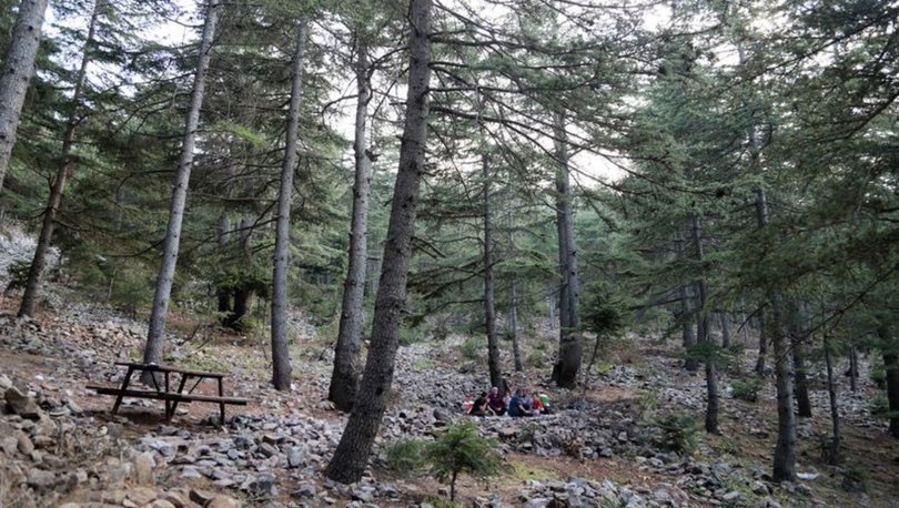 Doğaseverlerin huzur bulduğu adres