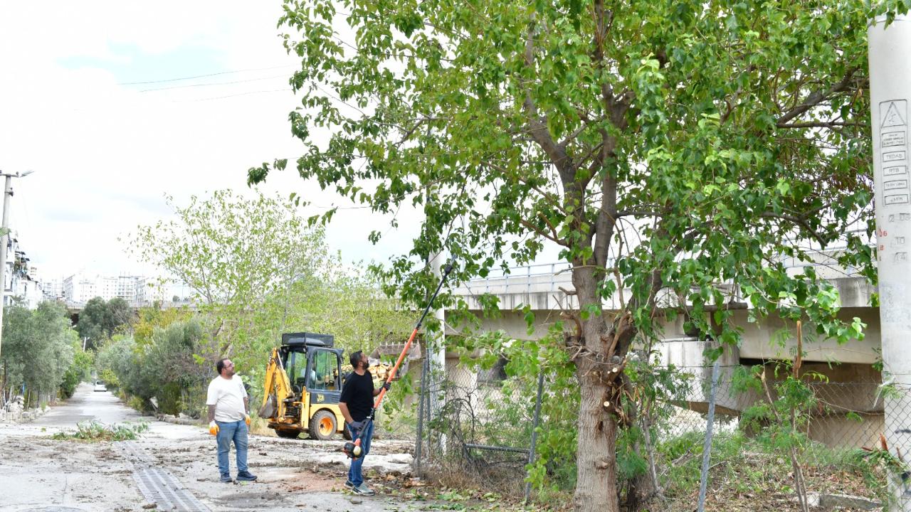 Çiğli’de sonbahar bakımı
