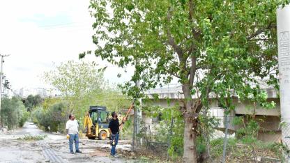 Çiğli’de sonbahar bakımı