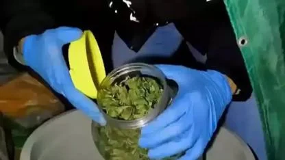 Evinde uyuşturucu ve silah ele geçirilen şüpheliye gözaltı