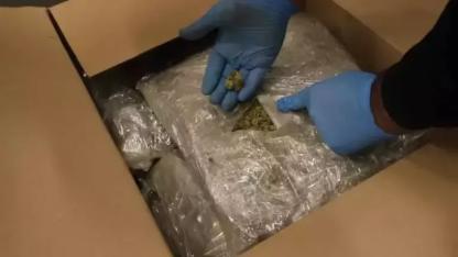 Kapıkule ve İpsala'da 525 kilo esrar ele geçirildi