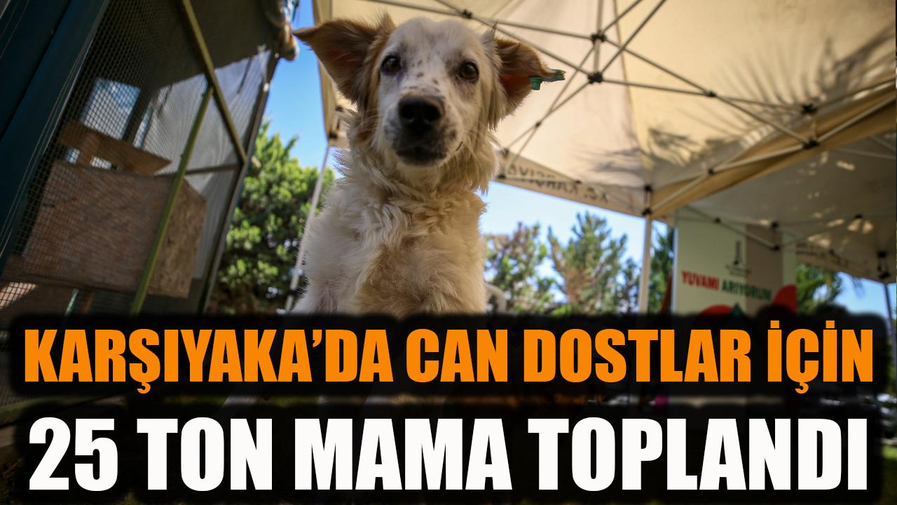 Karşıyaka’da can dostlar için 25 ton mama toplandı