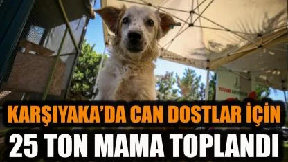 Karşıyaka’da can dostlar için 25 ton mama toplandı