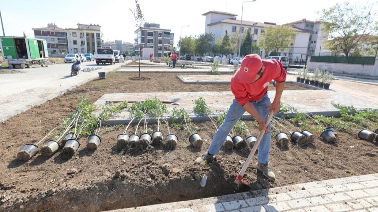 Pati Park’ta Sona Doğru