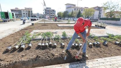 Pati Park’ta Sona Doğru