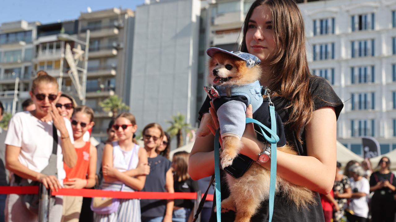 Patilerin Festivali 6 yaşında