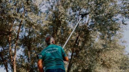 Balçova Belediyesi'nden kentin bereketine sahip çıkan örnek çalışma