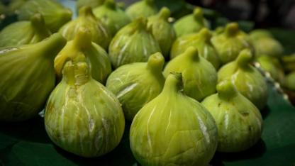 Beydağ incirinin katma değeri artıyor