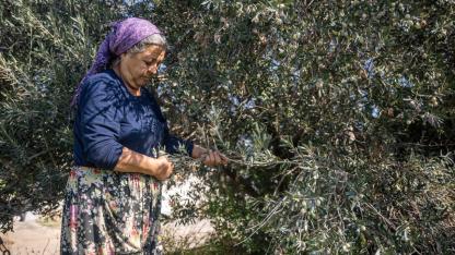 Bornova Belediyesi’nden üreticiye büyük destek