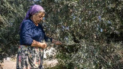Bornova Belediyesi’nden üreticiye büyük destek