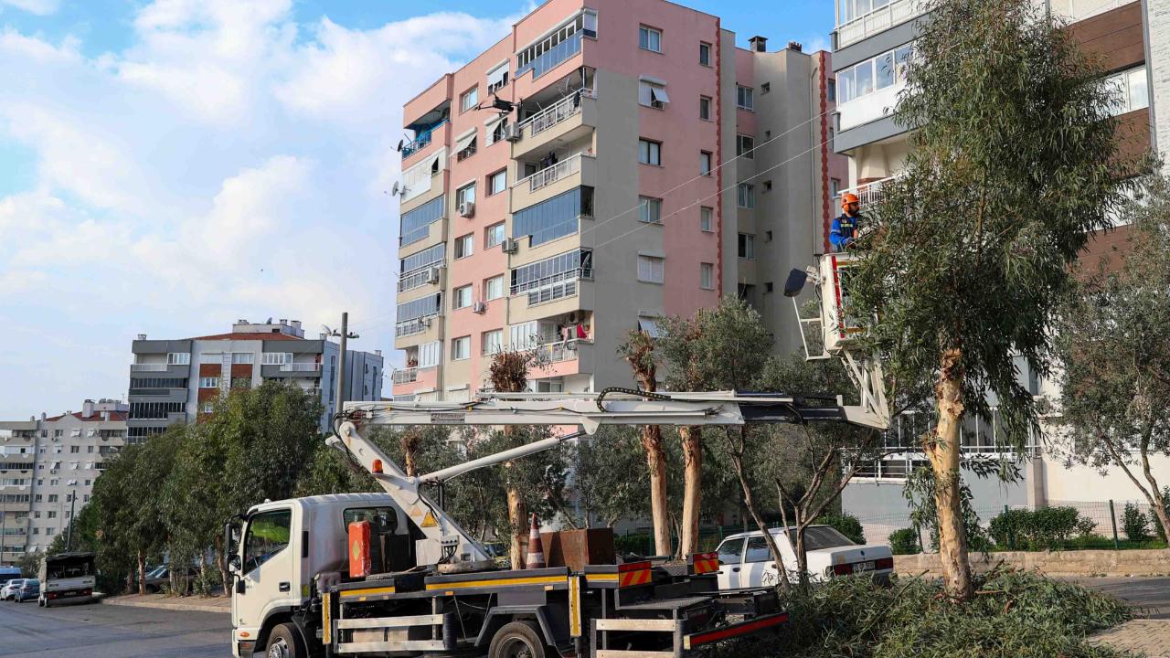 Buca’da budama seferberliği