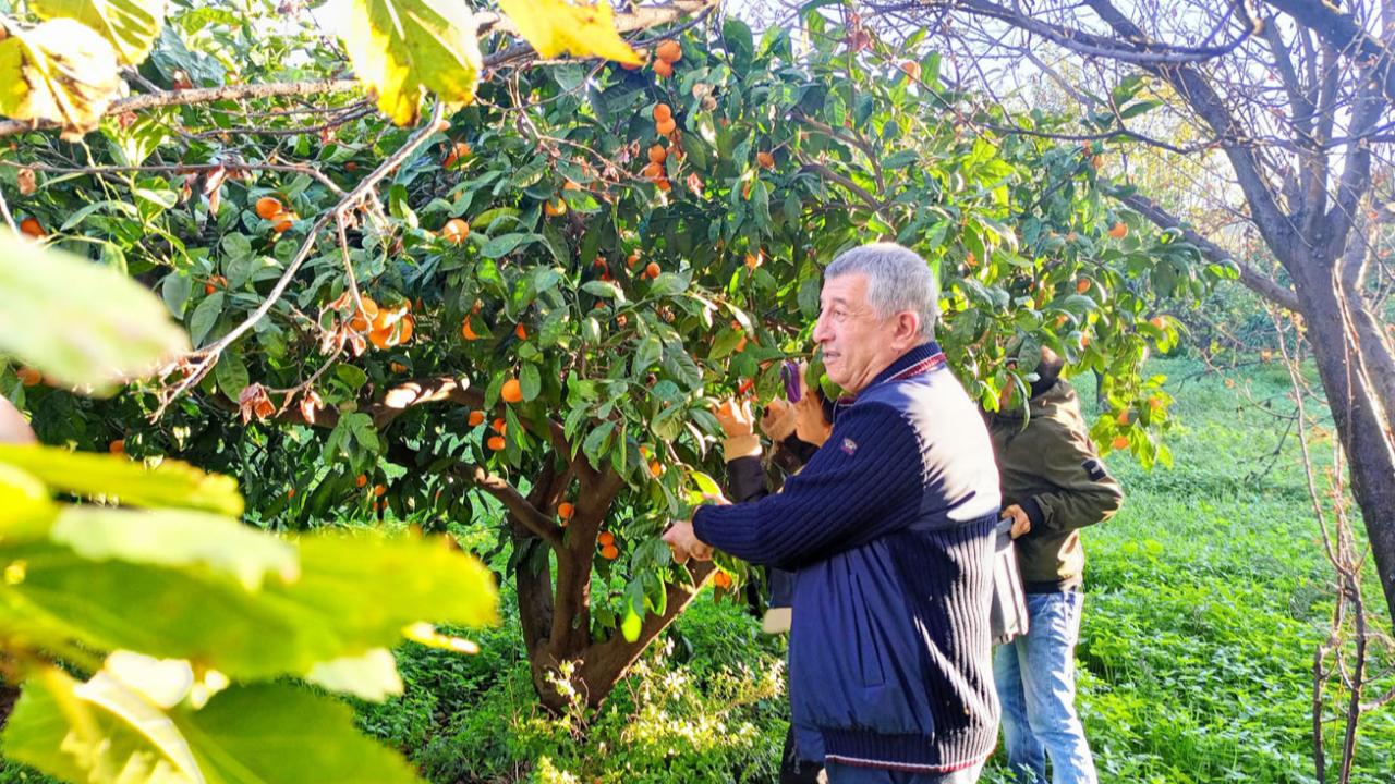 Çiftçinin dalında kalan malı belediye öğrencilere dağıttı