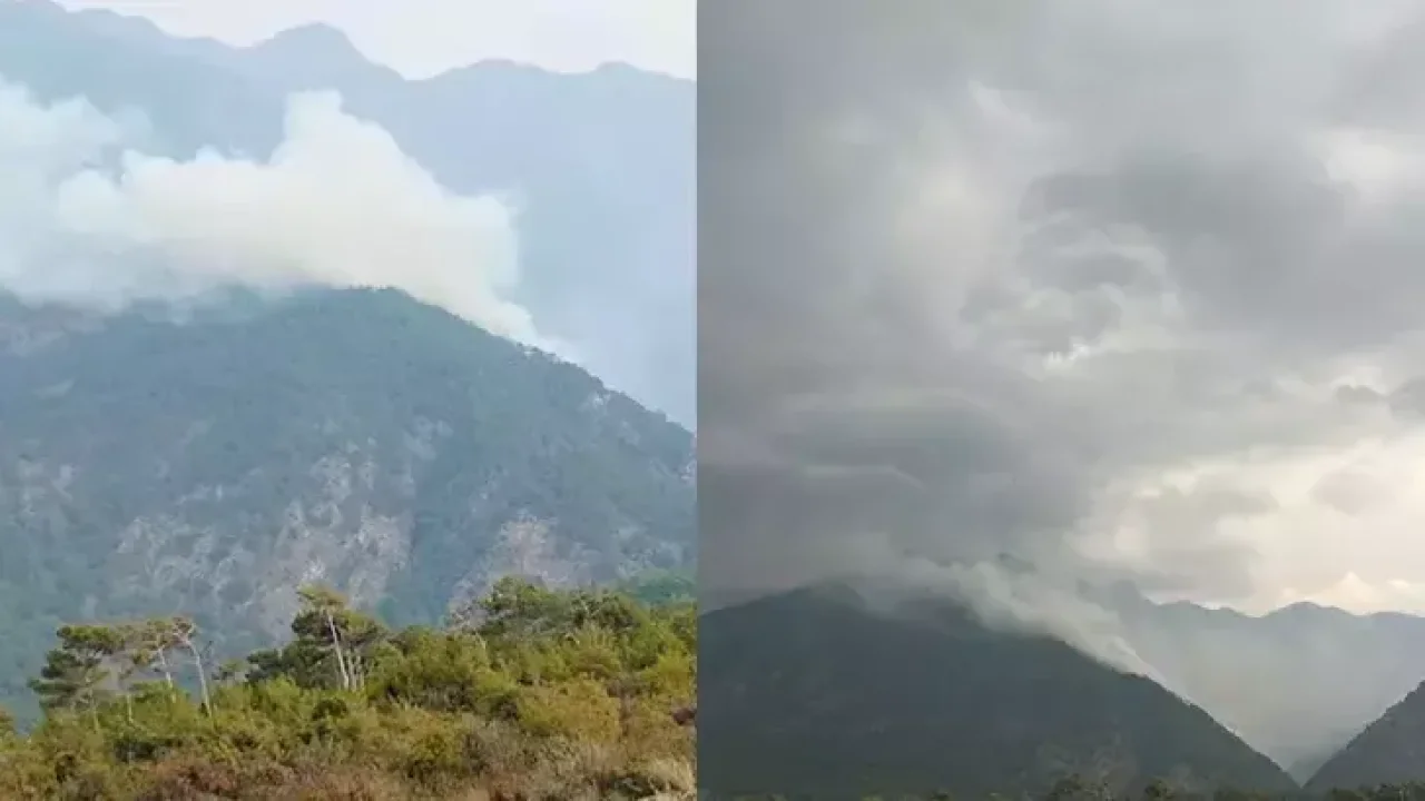 Hatay&#039;da orman yangını