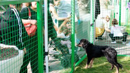 Konak’ta kalpler patili dostlar için attı