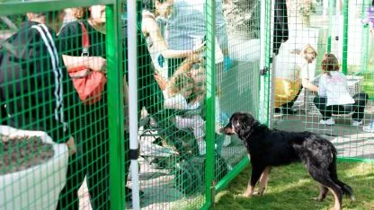 Konak’ta kalpler patili dostlar için attı