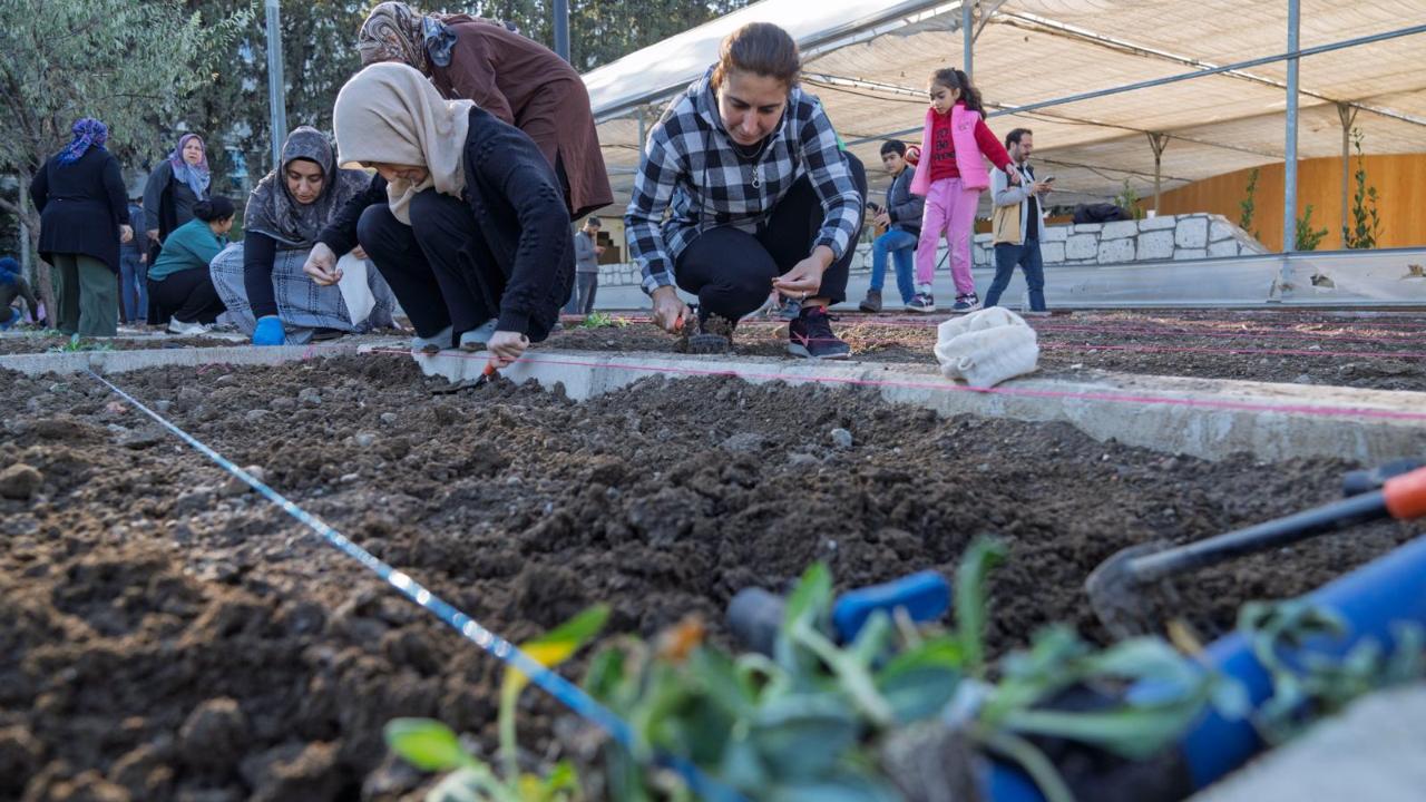 Mahalle bostanlarında kış dikimleri başladı