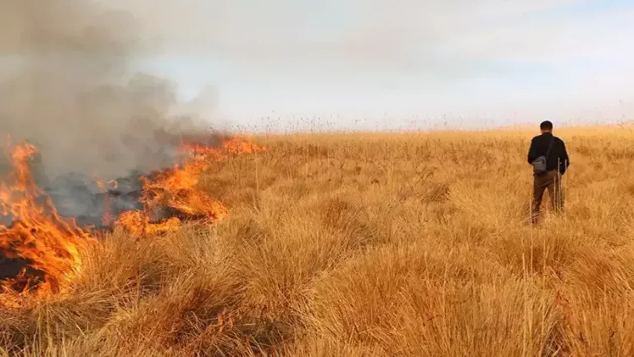 Nehil Sazlığı&#039;ndaki yangına helikopterle müdahale