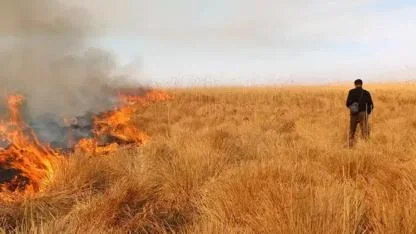 Nehil Sazlığı'ndaki yangına helikopterle müdahale
