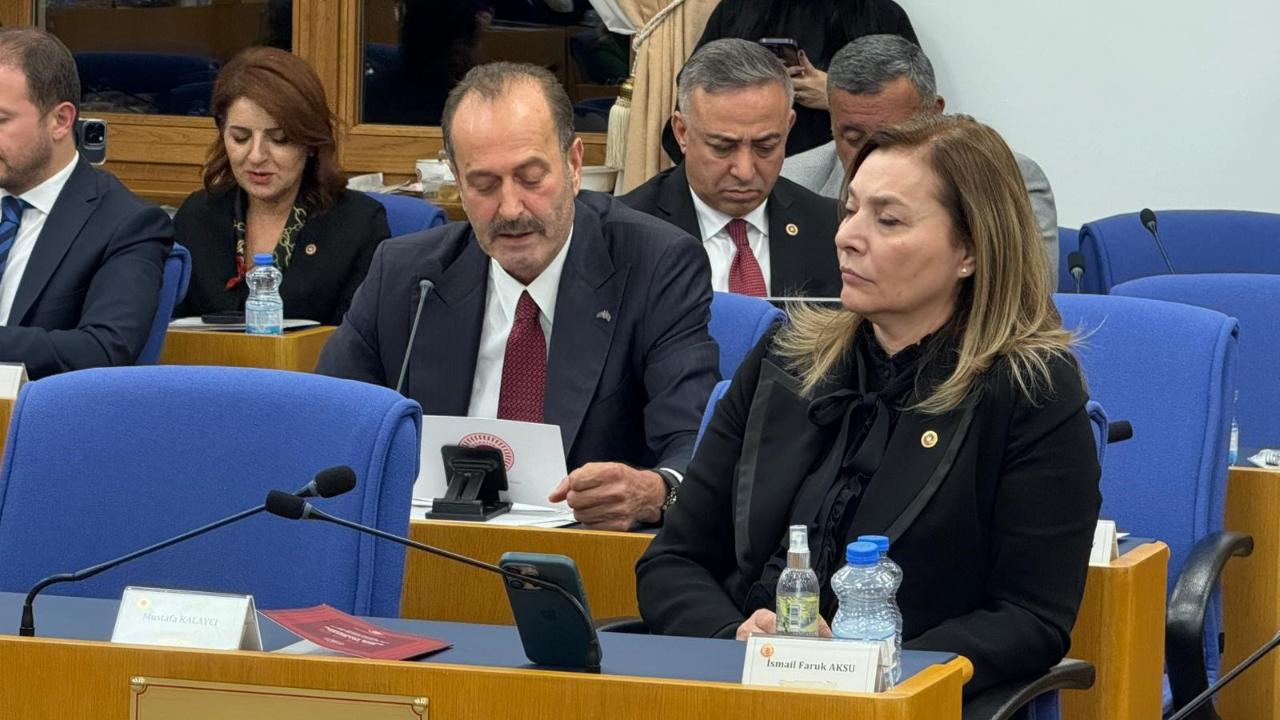 Tamer Osmanağaoğlu’ndan bütçe görüşmelerinde Aliağa vurgusu