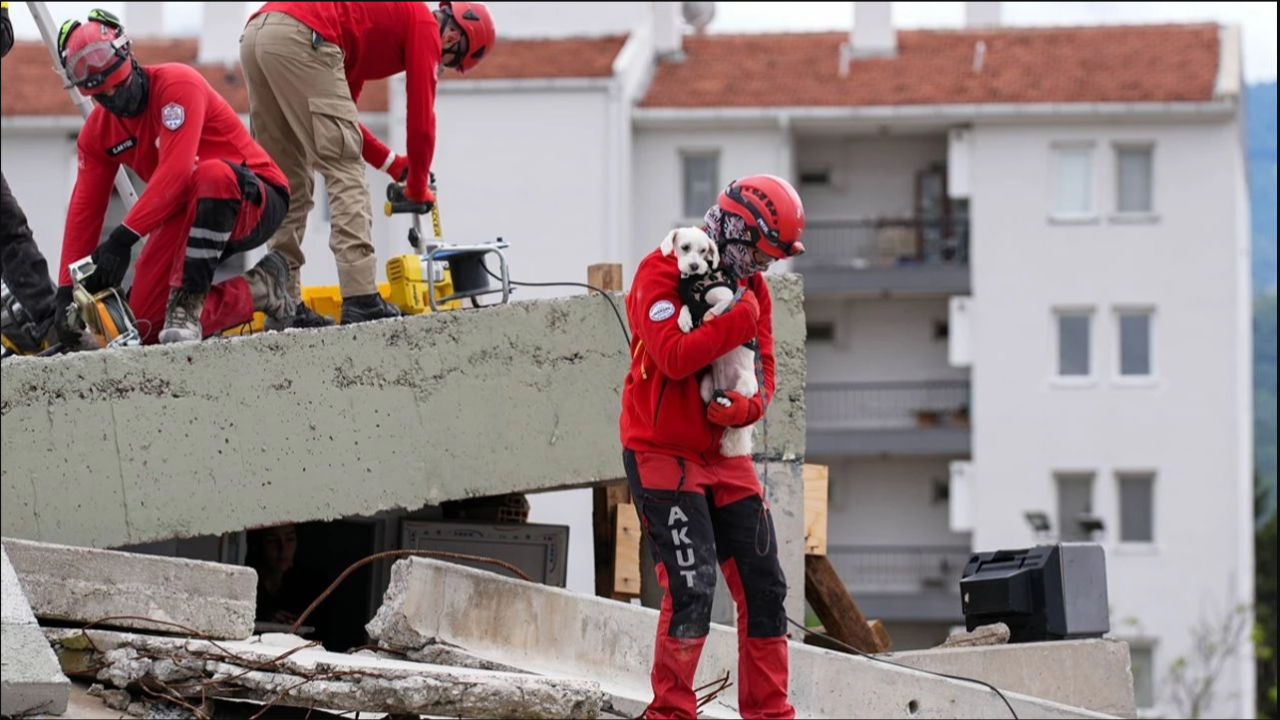 Torbalı&#039;da Hayvan Arama Kurtarma Eğitimi