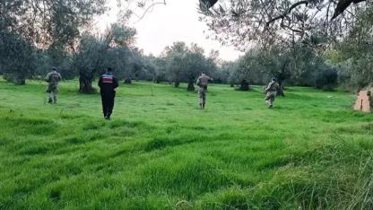 Zeytin hırsızlığına karşı jandarma ve komandolar sahada