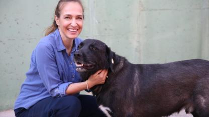 1 yılda 40 bin can dosta şefkat eli uzandı