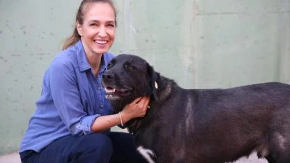 1 yılda 40 bin can dosta şefkat eli uzandı