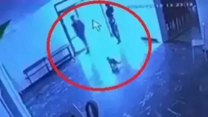 Belediyeye ait tesiste kediye tekmeli müdahale