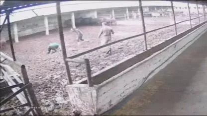 Besiciye boğa saldırdı