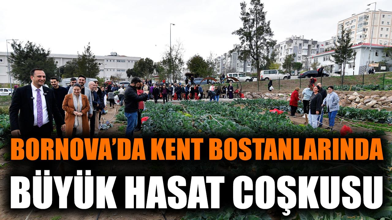 Bornova’da Kent Bostanlarında Büyük Hasat Coşkusu