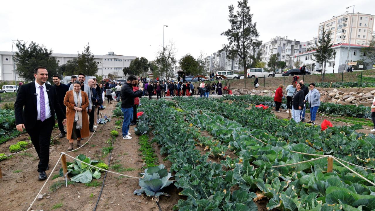 Bornova’da Kent Bostanlarında büyük hasat coşkusu