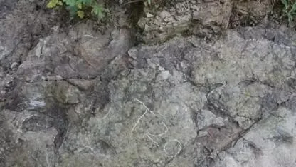 Çin'de yaklaşık 200 milyon yıl öncesine ait dinozor ayak izleri bulundu