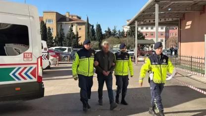 Durdurulan araçtan 15 kaçak göçmen yakalandı