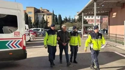 Durdurulan araçtan 15 kaçak göçmen yakalandı