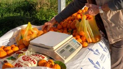 Güzelbahçe’de Güven ve Dayanışma Esaslı Uygulama