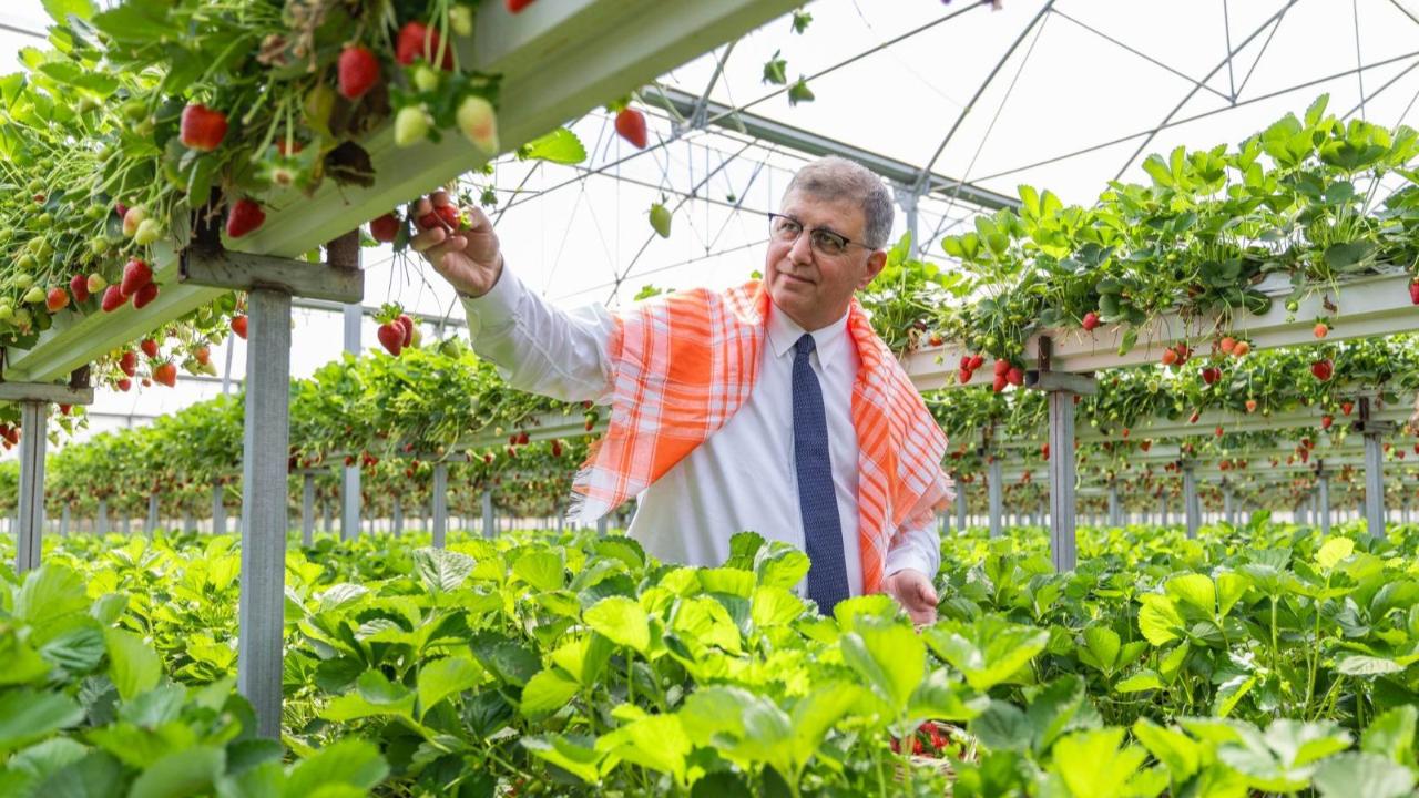 İzmir Büyükşehir Belediyesi üreticiye desteğini sürdürdü