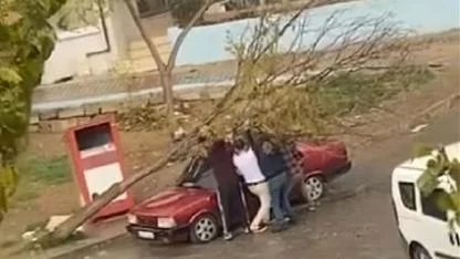 İzmir'de park halindeki otomobilin üzerine ağaç devrildi