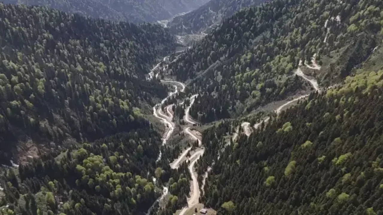 Karadeniz&#039;de yağış değişimi alarmı; orman varlığı gençleştiriliyor