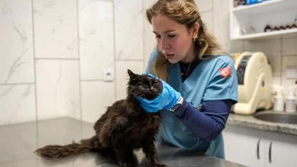 86 bin tedavi, 13 bin kısırlaştırma