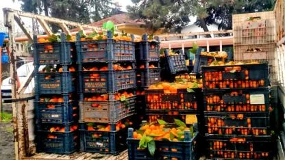 Alaçatı'dan Hatay'a dayanışma köprüsü