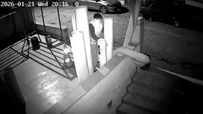 Avcılar'da halı hırsızlığı