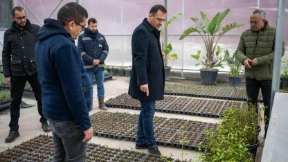 Bornova kendi yeşilini kendi üretiyor