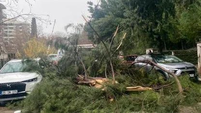 Buca Belediyesi ekiplerinin fırtına ve yağış mesaisi