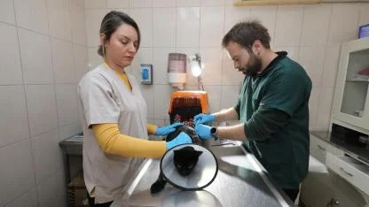 Gaziemir Belediyesi 6 bin 222 can dostun yaşamına dokundu