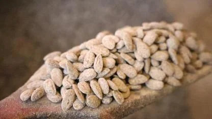 Gelenekten yeniliğe: Türk kahveli badem şekeri