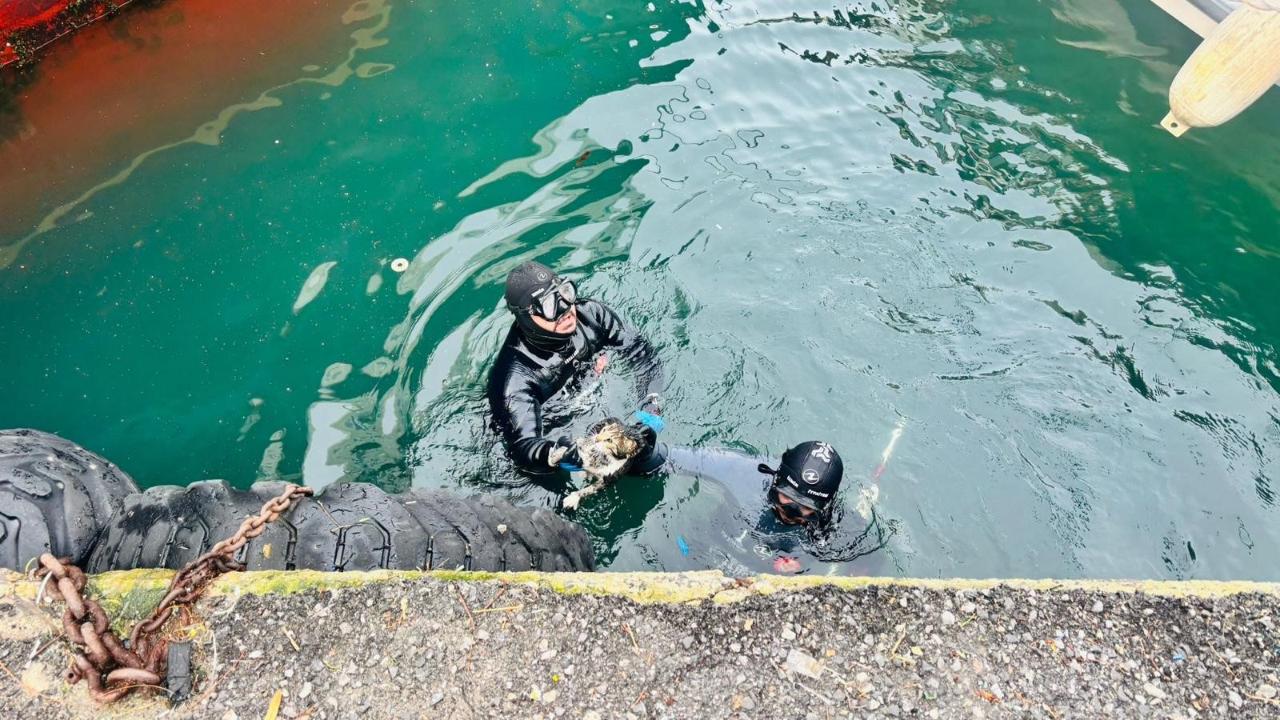 İzmir İtfaiyesi, iskele altında sıkışan kediyi kurtardı
