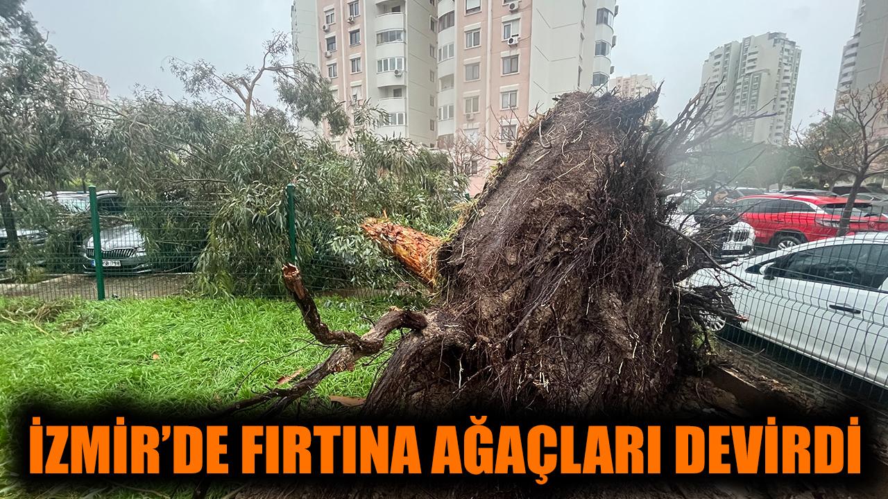 İzmir'de fırtına ağaçları devirdi