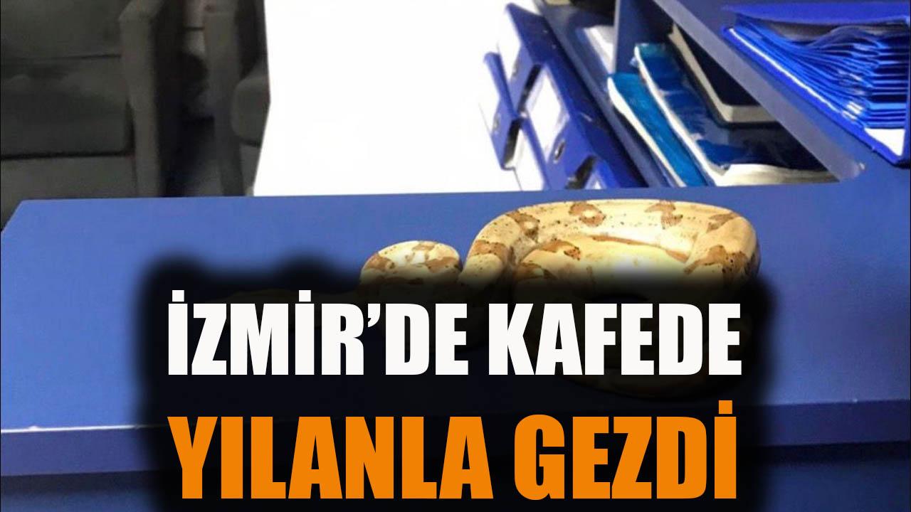 İzmir'de kafede yılanla gezdi