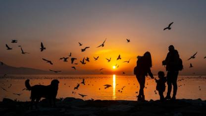 Kardeş Kadrajlar Uluslararası Fotoğraf Yarışması başlıyor